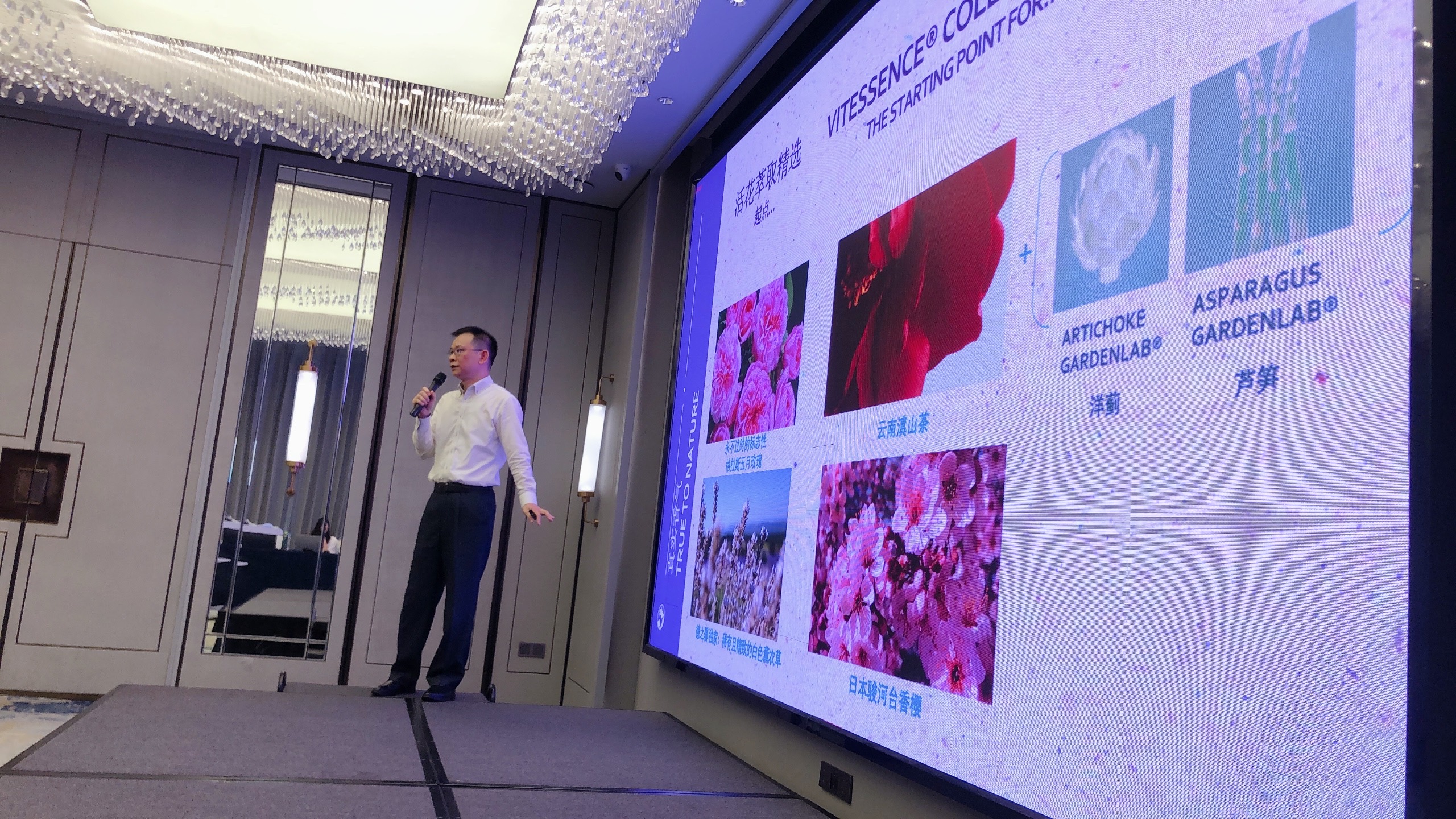 IMG_2653(20220719-120324) IMG_2653(20220719-120324)