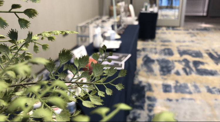 IMG_3002(20220811-093622) IMG_3002(20220811-093622)