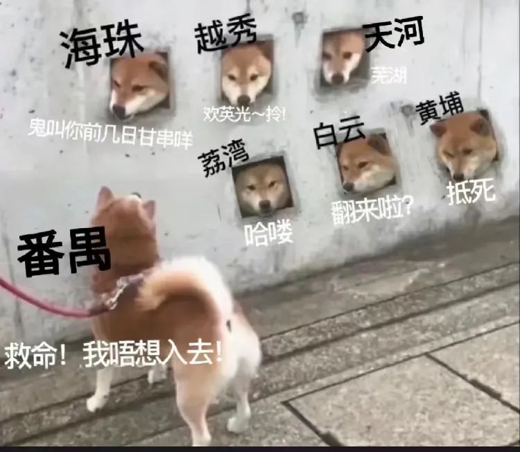 c779658fd0c50dcf9fdd050506fe3d47 c779658fd0c50dcf9fdd050506fe3d47