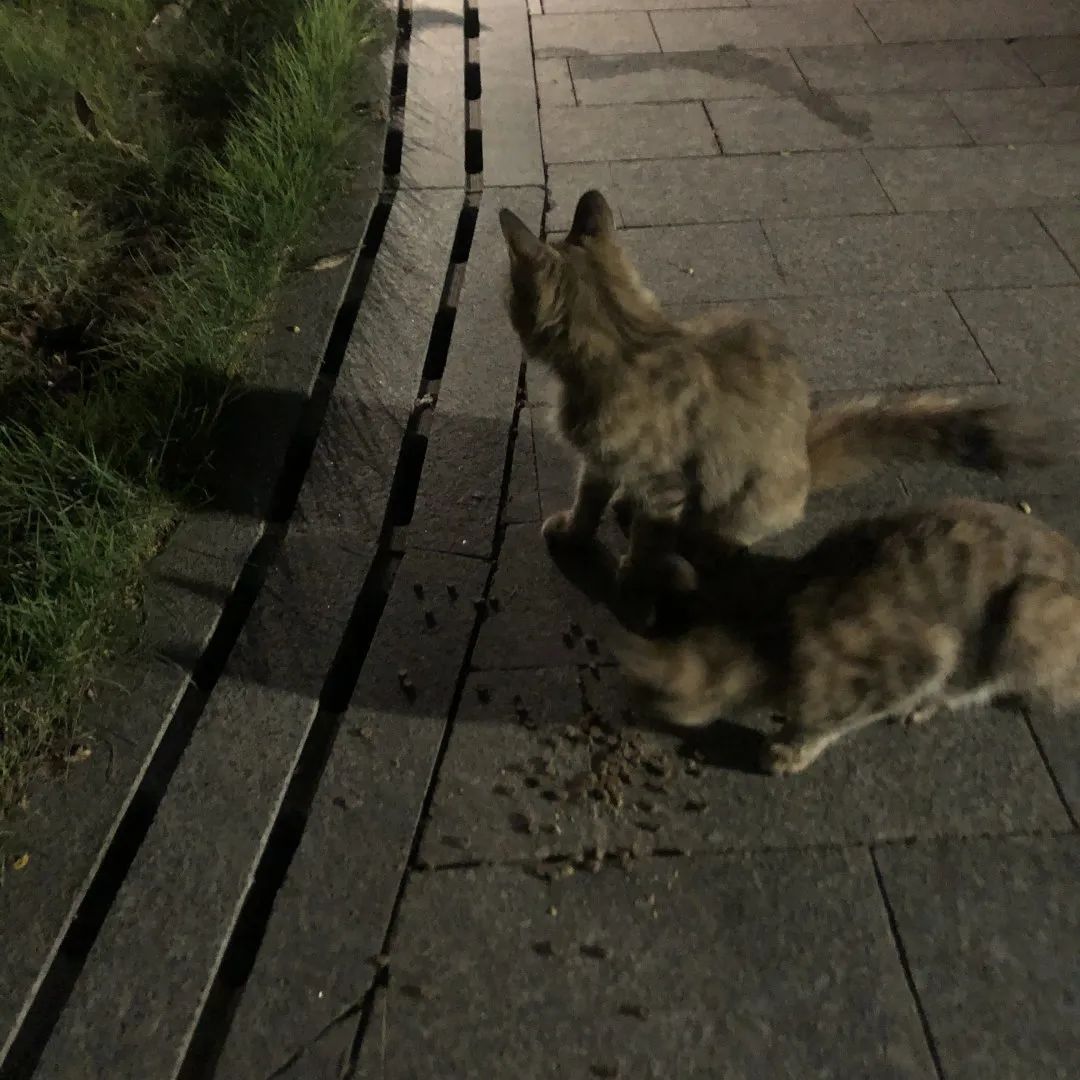 7296a098331c941c6ad86307c6c90a81 7296a098331c941c6ad86307c6c90a81