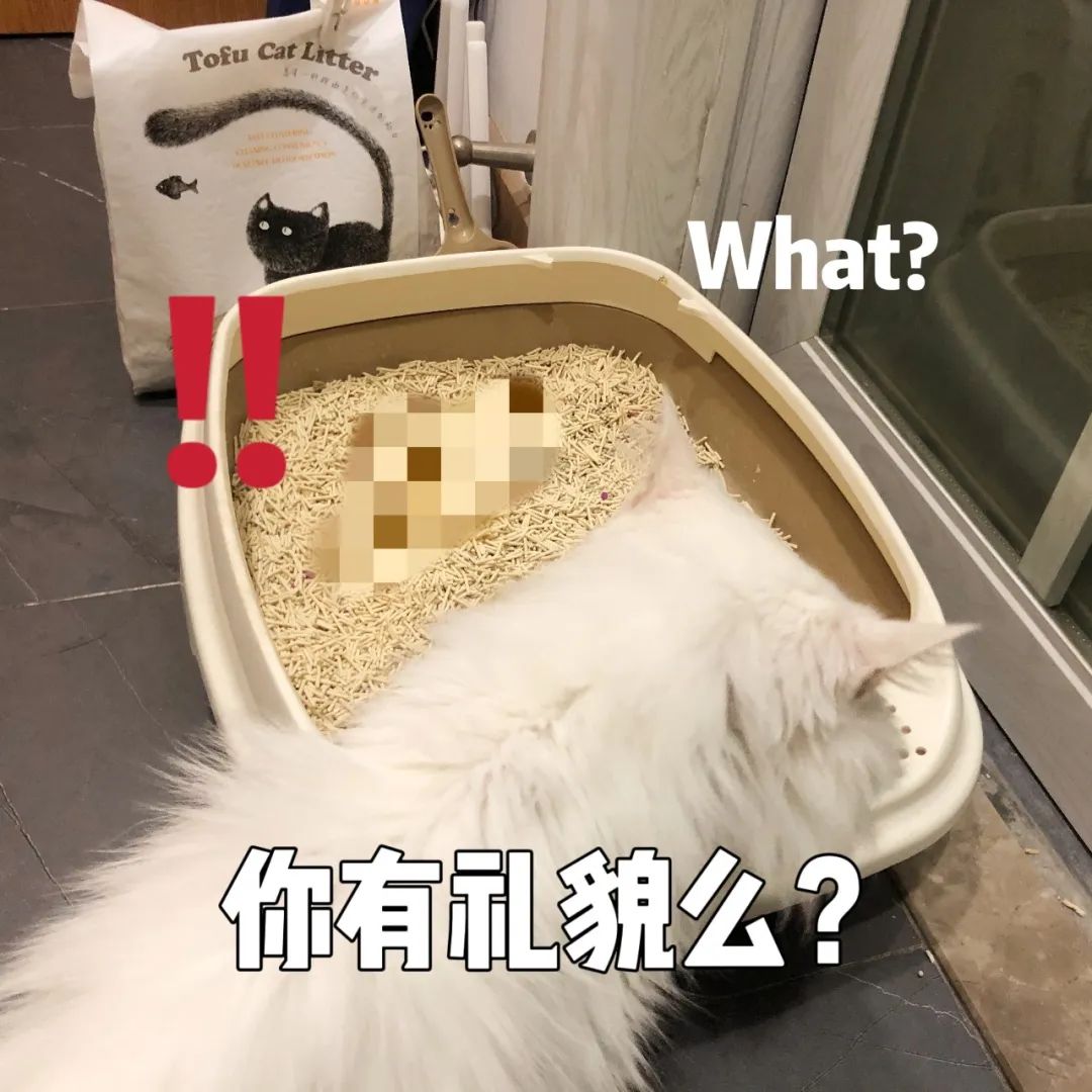 5476796dd98fbaadbc2bf79cd768684a 5476796dd98fbaadbc2bf79cd768684a