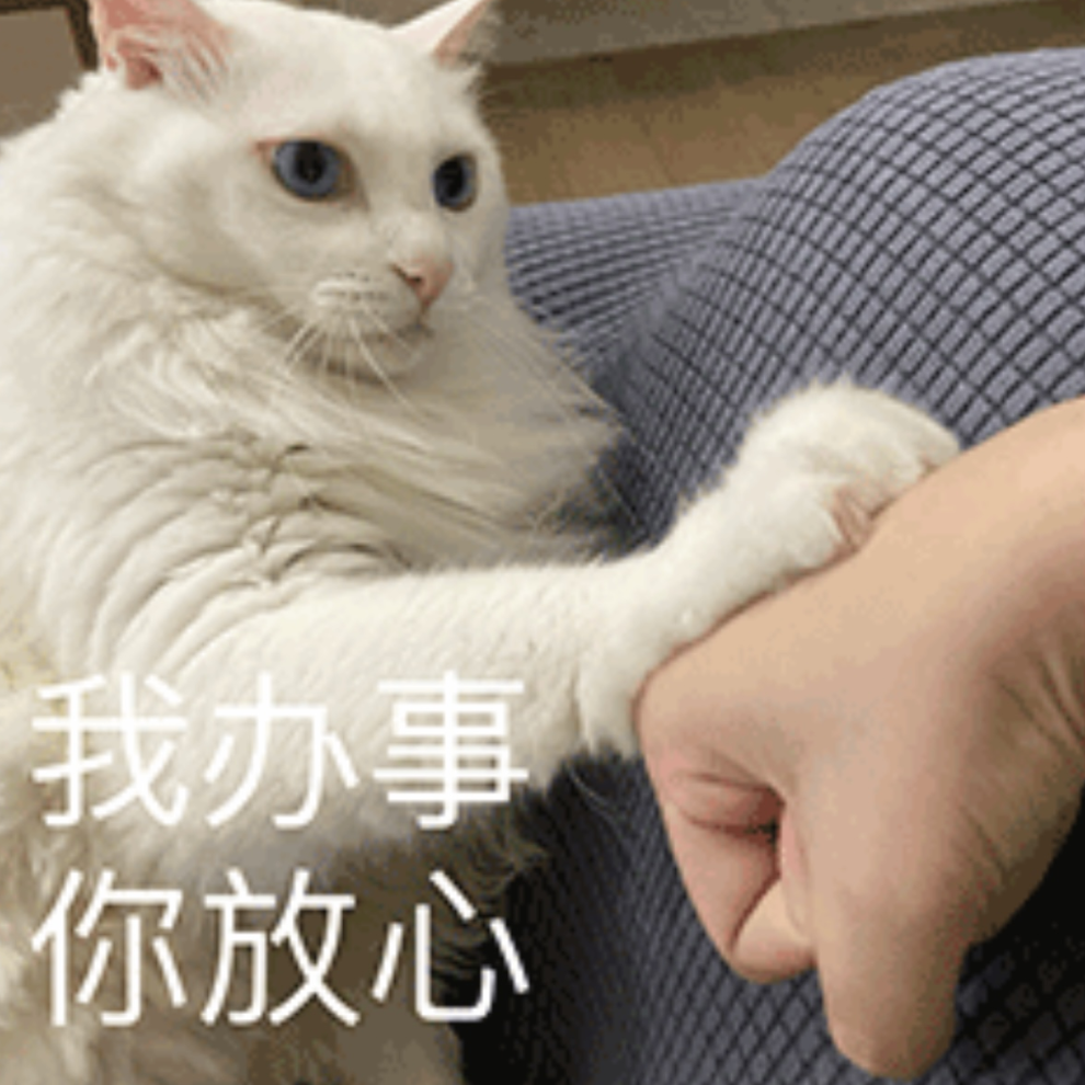 微信圖片_20241210101018 微信圖片_20241210101018